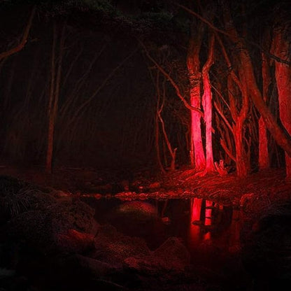 3 Pack Red Light Flashlight, 3 Modes Mini Red LED Flashlight, Zoomable Red Flashlight Torch with Clip for Night Vision, Astronomy, Aviation, Night Observation