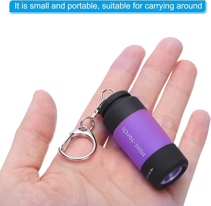 PATIKIL Mini Keychain Flashlight, Pocket LED Flashlight Portable Torch USB Rechargeable for Outdoor Camping Party, Purple