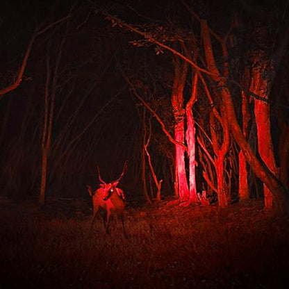 3 Pack Red Light Flashlight, 3 Modes Mini Red LED Flashlight, Zoomable Red Flashlight Torch with Clip for Night Vision, Astronomy, Aviation, Night Observation