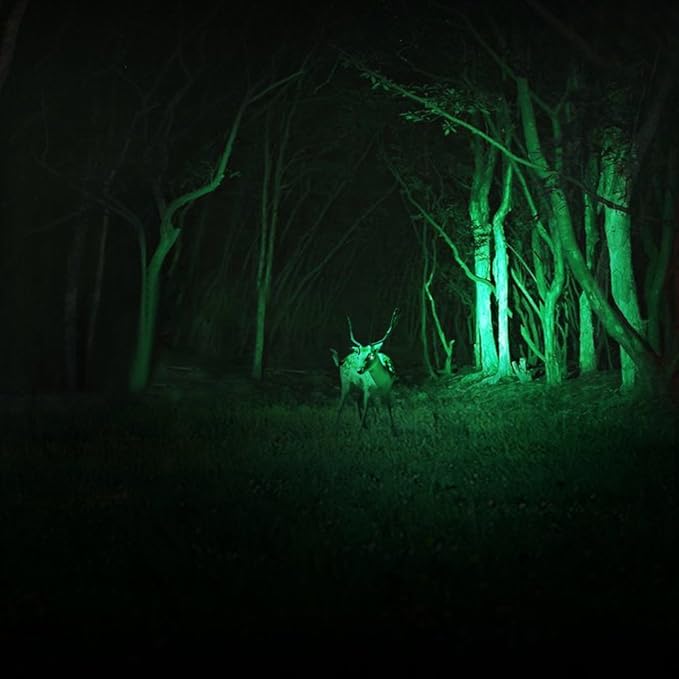 3 Pack Green Light Flashlight, Zoomable 3 Modes Mini Green LED Flashlight, Green Flashlight Torch for Hiking, Camping, Night Observation