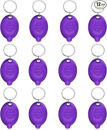 Mini UV Keychain Flashlight, Portable Black Light, 12 Lumen Ultra Bright Tiny Flashlight, Small Keychain Flashlight for Stain Detection & Scorpion Finder, Battery Included (12PCS)