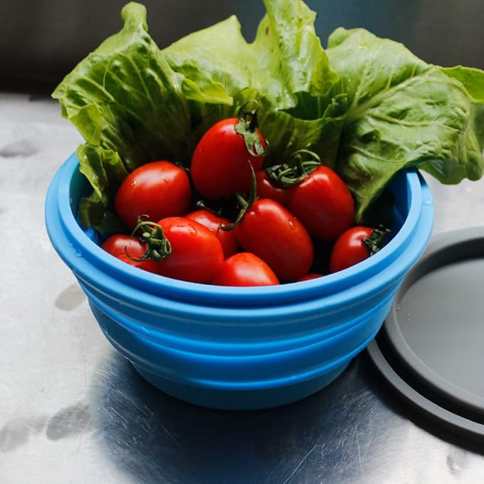 Mr. Peanut's Collapsible Silicone Camping Bowl with Lid & Foldable Fork