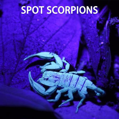 Mini UV Keychain Flashlight, Portable Black Light, 12 Lumen Ultra Bright Tiny Flashlight, Small Keychain Flashlight for Stain Detection & Scorpion Finder, Battery Included (48PCS)