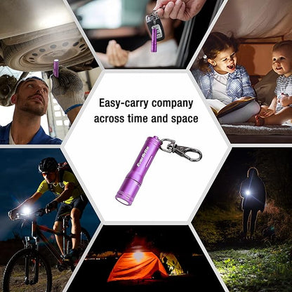 EverBrite Keychain LED Flashlight Mini Bright Key Ring Portable Pocket Torch for EDC, Party Favors, Night Reading, Camping, Power Outage, Emergency, AAA Battery Included, Purple