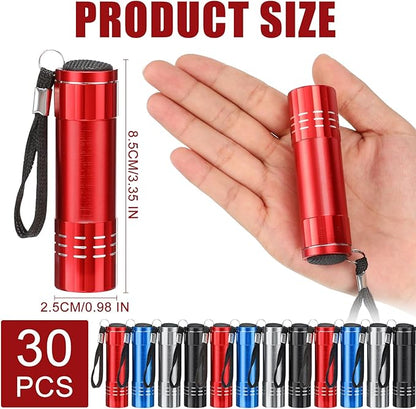 30 Pack Mini LED Flashlight Bulk, Aluminum LED Handheld Torches with Lanyard and Batteries Small LED Flashlights for Camping, Kids Party, Night Reading, Hiking, Gift, Indoor, 4 Colors