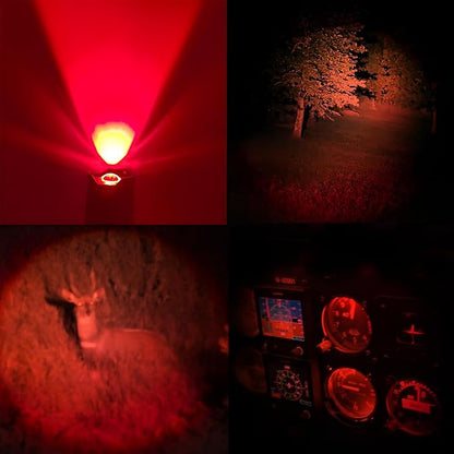 Single Mode LED Flashlight, Red Green Blue Flashlight - Mini Light Portable Zoomable Flashlight for Fishing Camping Hunting Emergency, 3 Pack