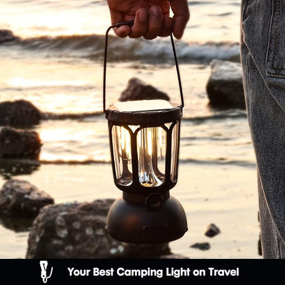650LM LED Camping Lantern with 6000mAh 10-200hrs Battery Life, Hand Crank /Solar Powered /Type-C Rechargeable for Power Outages, Warm/Cold Light Stepless Dimmable 650 Lumen,(1 Pack)…