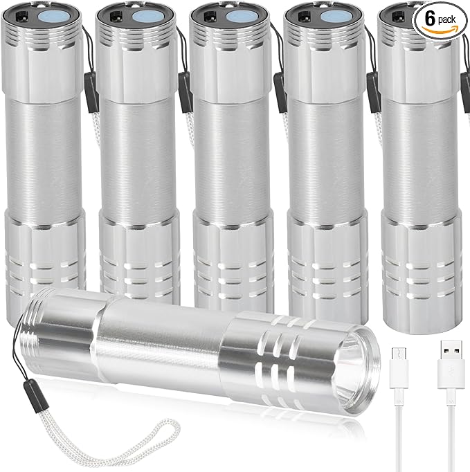 6 Pack LED Aluminum Small Mini USB C Rechargeable Flashlights, Handheld Small Flashlight Bulk for Kids, Portable Camping Bright High Lumens Flashlight Christmas Gifts (Silver)