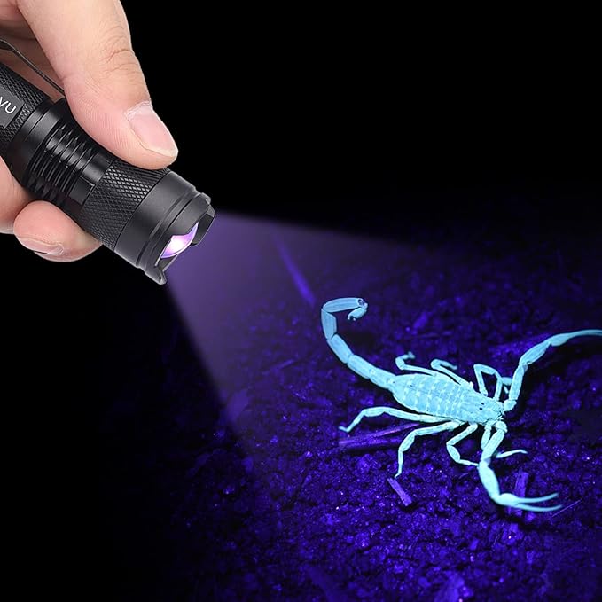 LED Torch Battery Powered, UV Ultra Flashlight Blacklight Light Inspection Lamp Torch 395/365 nM, for Power Cut, Camping, Dog Walking(365nm)