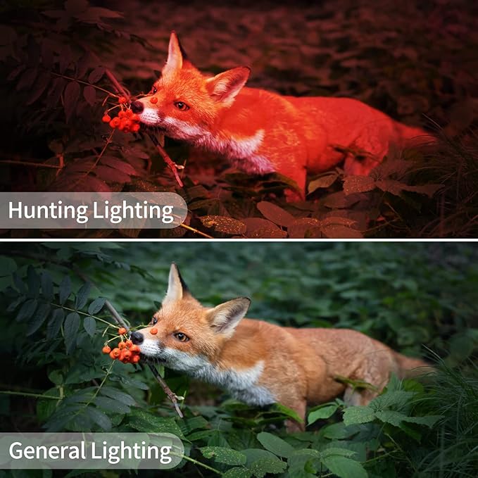 6000 High Lumen LED Spotlight with 20Hrs Ultra-Long Running & 10000mAh Power Bank, IP66 Waterproof Spot Lights Outdoor Handheld for Boating, Hunting, Fishing, Camping