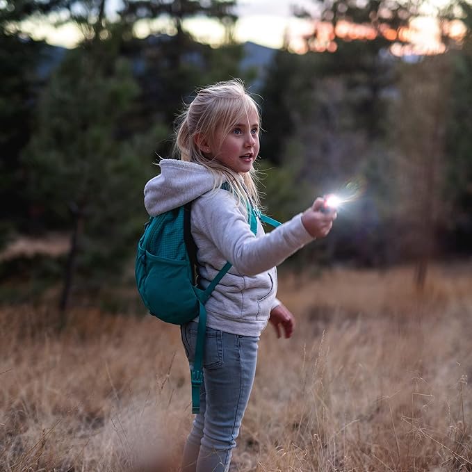 Sun Company Big Discoveries LifeLight Animal Carabiner Flashlight – Fun Mini Animal Keychain Flash Lights for Kids, Adults, Nurses