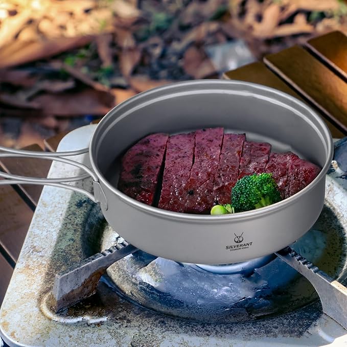 Camping Plate Titanium Pan Dish Plate with Handle & Mesh Bag, Large Reuseable Ultralight Dinner Plate for Camping Outdoors Backpacking (450ML)