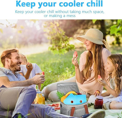 MIYCOO Ice Packs for Lunch Boxes & Lunch Bag - Quick Freeze Ice Pack Space Saving Freezer Packs - Reusable Slim Original Cool Pack - Cool Coolers Accessories for Beach, Camping and Fishing