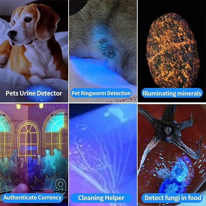 365 nm Black Light Flashlight Powerful Rechargeable, HIGH Definition Ultraviolet, LED UV Flashlights 1 Mode Detection Light.