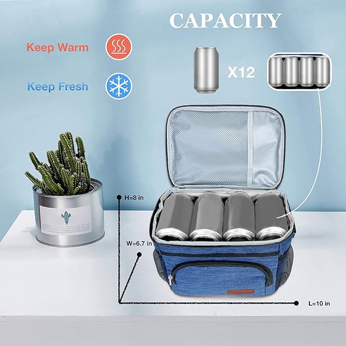 ExtraCharm Insulated Lunch Bag for Women/Men - Reusable Lunch Box for Office Picnic Hiking Beach - Leakproof Cooler Tote Bag Organizer with Adjustable Shoulder Strap for Adults - Grey