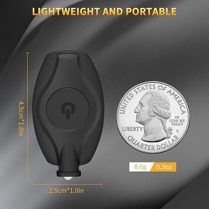 RISEMART 10 Pack Keychain Flashlight, 14 Lumens Bright LED Keychain Light 2 Modes, Portable Mini Key Ring light for Ourdoor Camping Emergency Hiking
