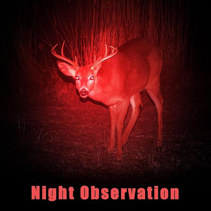 Honoson 1 Piece Red Flashlight LED Single Mode Light One Mode LED Torch Scalable Red Light Flashlight for Astronomy Aviation Night Observation