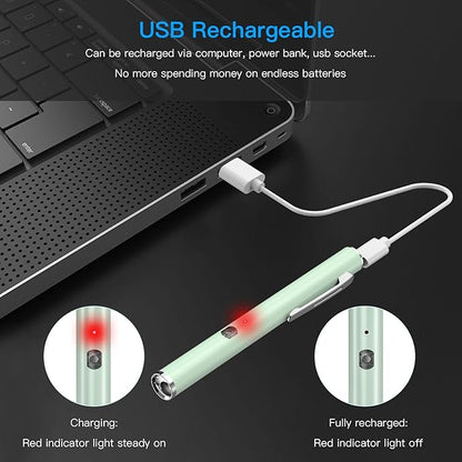 COSOOS 2 Rechargeable Penlights with Pupil Gauge & Ruler, Mini LED Pen Lights for Nurse Doctor, Warm & White Light, Chargeable Penlight with Clip, Flashlight for Nursing Student
