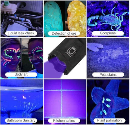 Blacklight Flashlight Kit, 2 in 1 LED UV 395nm Blacklights with 500LM Highlight, 4 Modes, Ultraviolet Torch Light for Pet Urine/Scorpion Detection/Night Fishing/Travel/Camping