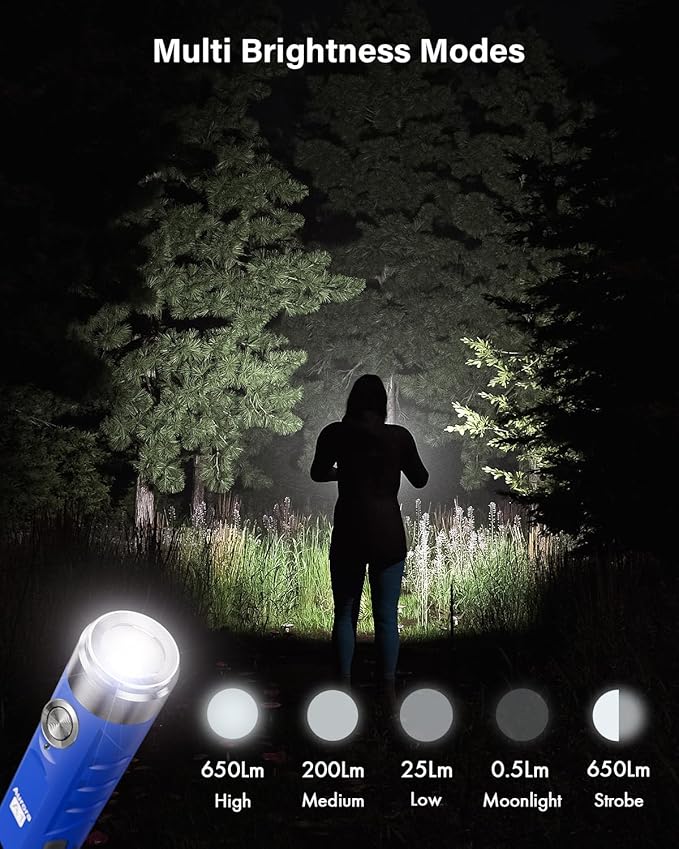 RovyVon Aurora A1 G4 USB C Rechargeable Mini Flashlight, Small Bright Keychain Flashlight 650 High Lumens EDC Flashlight Gadget with Clip for Camping, Hiking, Emergencies (Blue)