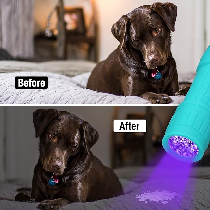 EverBrite Black Light Flashlight, UV Mini Flashlight, 9-Led 395nm Detector for Pet Urine, Stains, Scorpions, 18 AAA Batteries Included