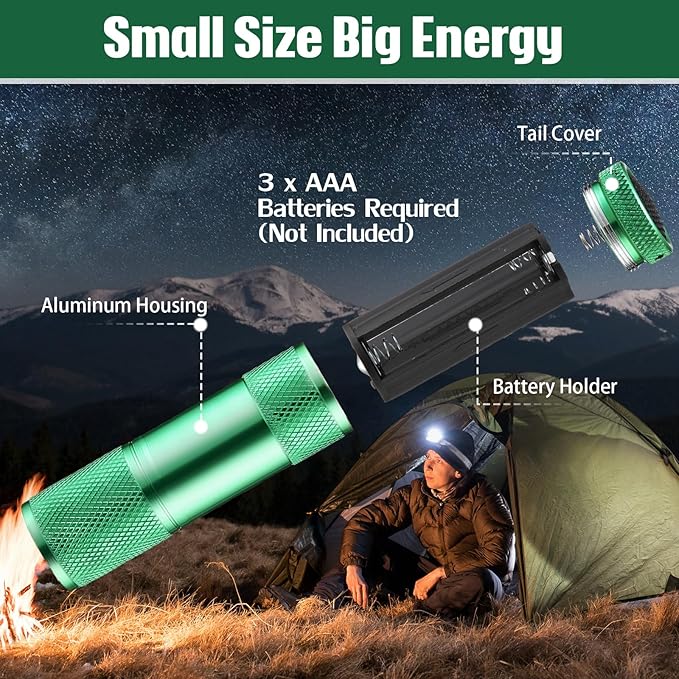 VIHOSE 32 Pcs Mini Flashlights Bulk, Bright Aluminum Handheld Flash Light with Lanyard, Small LED Flashlights for Kids Night Reading Emergency Hurricane Camping Hiking Party Favors(Green)