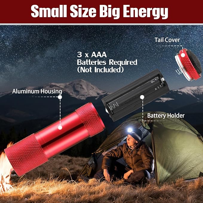 VIHOSE 32 Pcs Mini Flashlights Bulk, Bright Aluminum Handheld Flash Light with Lanyard, Small LED Flashlights for Kids Night Reading Emergency Hurricane Camping Hiking Party Favors(Red)