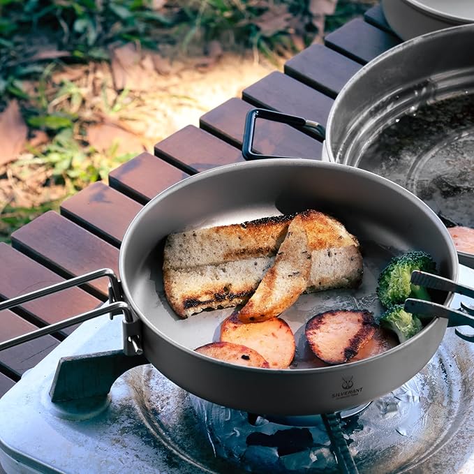 Camping Plate Titanium Pan Dish Plate with Handle & Mesh Bag, Large Reuseable Ultralight Dinner Plate for Camping Outdoors Backpacking (750ML)