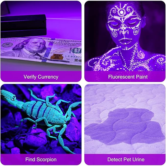 COSOOS Black Light Flashlight, 12LED 395nm UV Handheld Black Light, Mini Torch Light, Dogs Urine Detector for Dry Urine Stains, Bed Bugs and Scorpions.