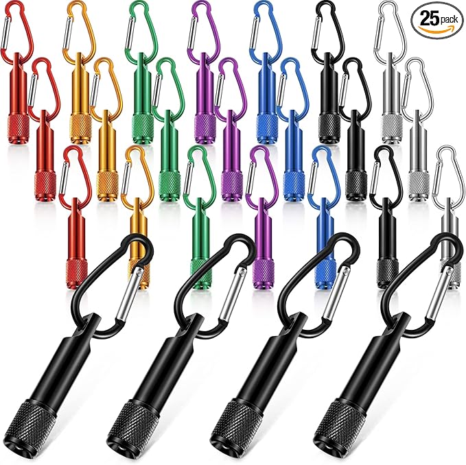 CHENGU 25 Pack Mini Keychain Flashlights Bulk with Carabiner Pocket Handheld Flashlight for Camping Hiking Outdoor Activity(Multi Color)