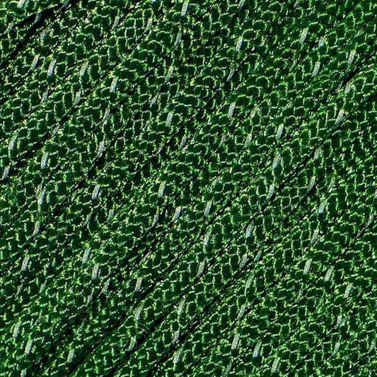 West Coast Paracord – 95 Tensile Strength - 1 Strand Reflective Paracord (100 Feet, Kelly Green)