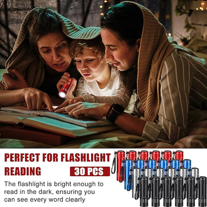 30 Pack Mini LED Flashlight Bulk, Aluminum LED Handheld Torches with Lanyard and Batteries Small LED Flashlights for Camping, Kids Party, Night Reading, Hiking, Gift, Indoor, 4 Colors