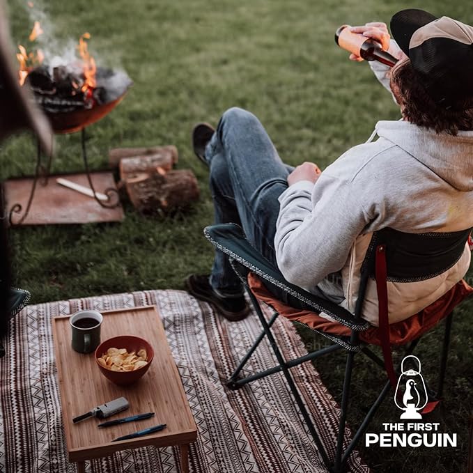 The First Penguin Portable Camping Stove - with Carrying Case 10,000 BTU Great for Emergency Preparedness Kit, High Power Butane Stove, Perfect for Camping, Hiking and Emergency-Black
