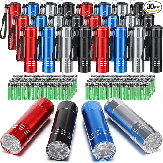 30 Pack Mini LED Flashlight Bulk, Aluminum LED Handheld Torches with Lanyard and Batteries Small LED Flashlights for Camping, Kids Party, Night Reading, Hiking, Gift, Indoor, 4 Colors