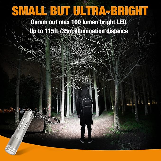 EverBrite Keychain LED Flashlight Mini Bright Key Ring Portable Pocket Torch for EDC, Party Favors, Night Reading, Camping, Power Outage, Emergency, AAA Battery Included, Gray
