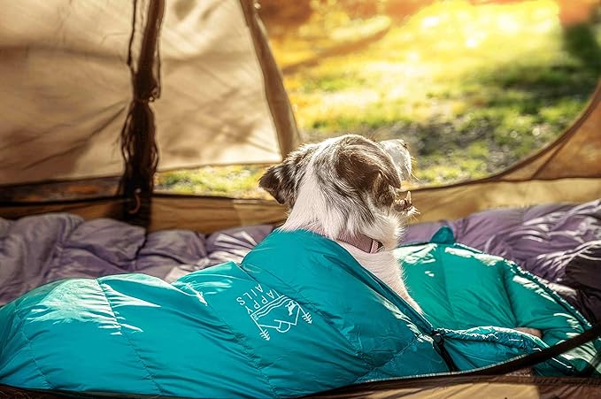 Glacial Blue Ultralight Dog Sleeping Bag with Packable Bed for Hiking, Camping and Outdoor Travel - Medium Size