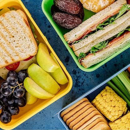 PATIKIL 12"x9"x3" Insulated Lunch Bags, Portable Food Containers Bag Flat Bento Bags Reusable Thermal Lunch Pail for Men and Women, Blue