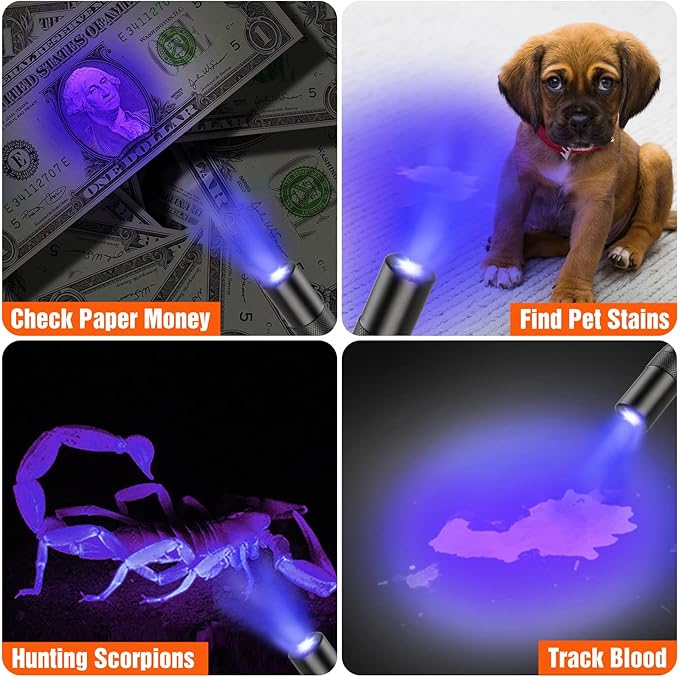 EverBrite Red Light Penlight Flashlight with 395nm UV Blacklight/White Light, Multi-Function LED Pocket Pen Light, AAA Batteries Included, for Night Vision, Pet Stain Detection, Camping, 2pack