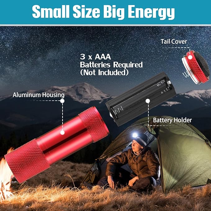 VIHOSE 48 Pcs Mini Flashlights Bulk, Bright Aluminum Handheld Flash Light with Lanyard, Small LED Flashlights for Kids Night Reading Emergency Hurricane Camping Hiking Party Favors(Multicolor)
