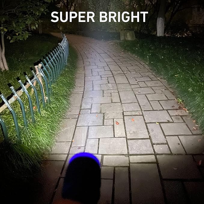 6-Pack Small Flashlights Set, Super Bright 100 Lumen LED Flashlight Pack with 18-Piece AAA Batteries Included, Mini Flashlight for Kids, Outdoor Flashlight for Camping, Hiking, Emergency