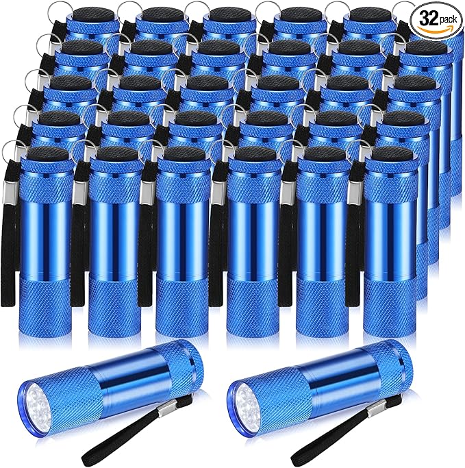 VIHOSE 32 Pcs Mini Flashlights Bulk, Bright Aluminum Handheld Flash Light with Lanyard, Small LED Flashlights for Kids Night Reading Emergency Hurricane Camping Hiking Party Favors(Blue)