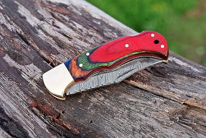 Handmade Damascus Steel Pocket Knife & Knife Sharpener - Damascus Folding Knife - Pocket Knife for Men, EDC Knife & Hunting Knife with Back Lock & Beautiful Pakka Wood Handle with Leather Knife Sheath